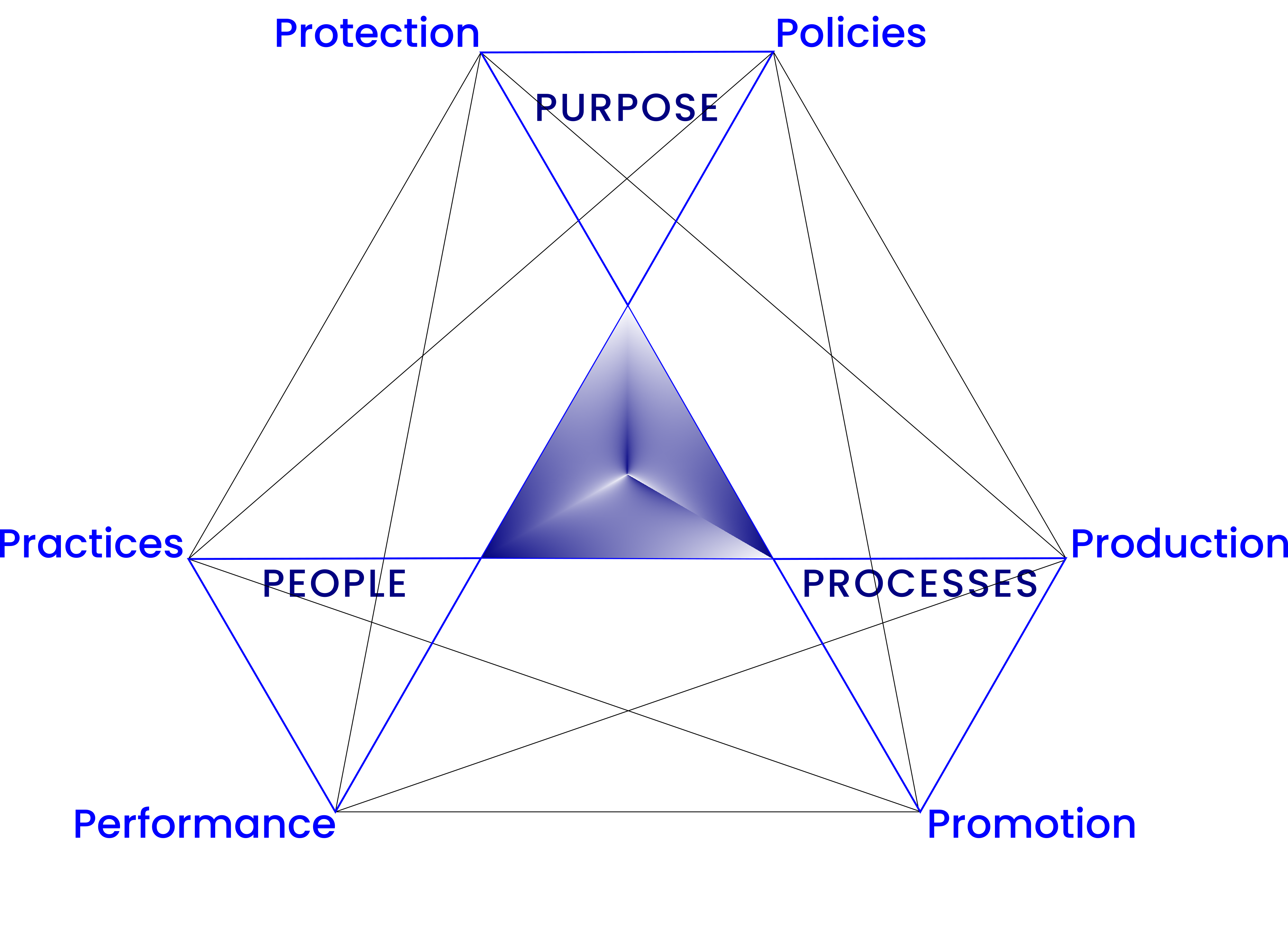 The P9 Management Model Elements